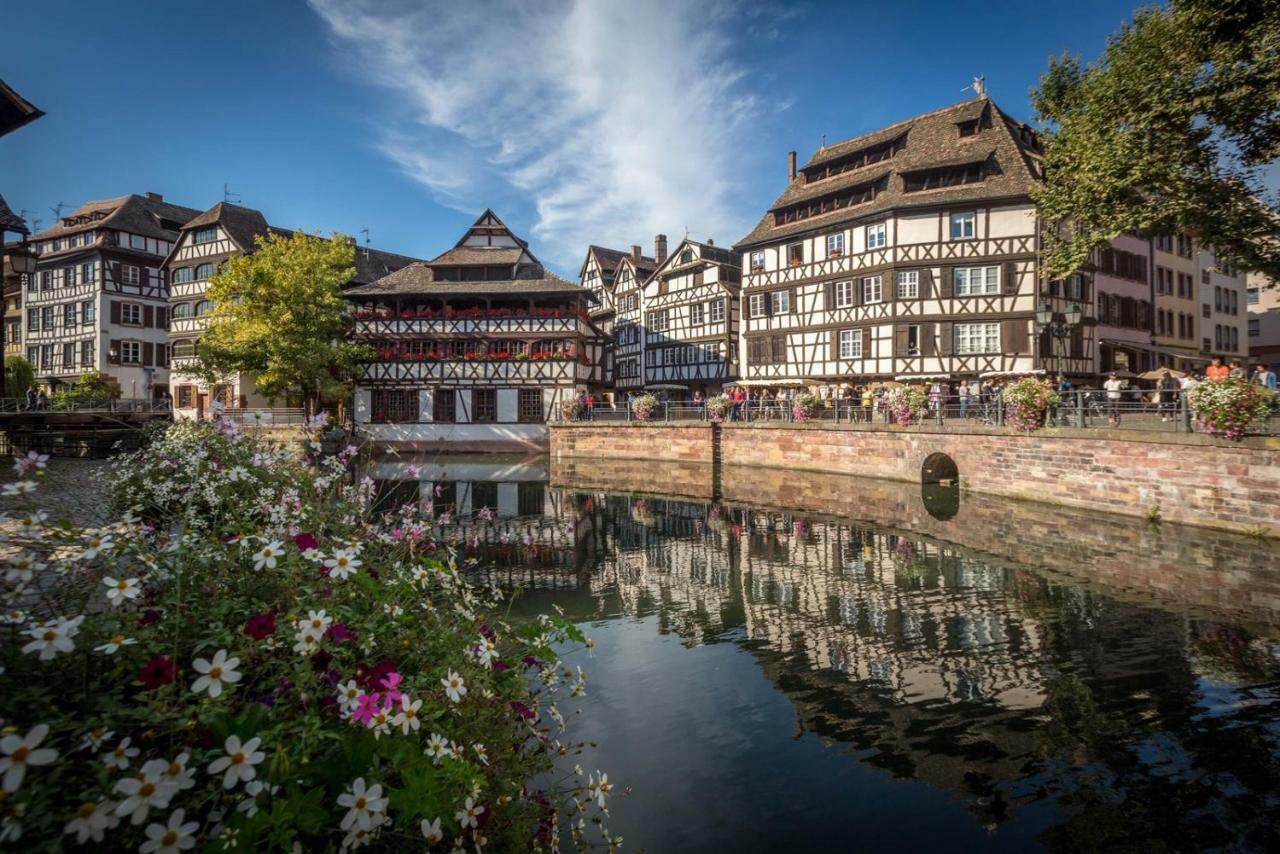 Charmant Lumineux Studio Esplanade Strasbourg Exterior photo